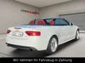 Audi A5 Cabriolet 1.8 TFSI S Line Automatik-Bi-Xenon White - thumbnail 8