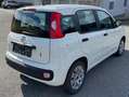 Fiat Panda 1,2 - Pickerl vor 300 km ohne Mängel. Weiß - thumbnail 6