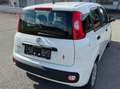 Fiat Panda 1,2 - Pickerl vor 300 km ohne Mängel. Weiß - thumbnail 12