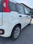 Fiat Panda 1,2 - Pickerl vor 300 km ohne Mängel. Weiß - thumbnail 7