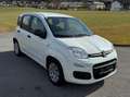 Fiat Panda 1,2 - Pickerl vor 300 km ohne Mängel. Weiß - thumbnail 4