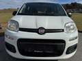 Fiat Panda 1,2 - Pickerl vor 300 km ohne Mängel. Weiß - thumbnail 2