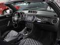 Volkswagen Beetle Cab. DSG R-LINE*EXCLUSIVE~XEN~KEYL~KAM~20 Noir - thumbnail 23