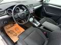 Skoda Superb Kombi 2,0 TDI Business DSG VOLL-LED / SPORTSITZE Weiß - thumbnail 14
