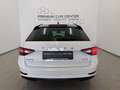 Skoda Superb Kombi 2,0 TDI Business DSG VOLL-LED / SPORTSITZE Weiß - thumbnail 5