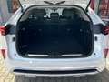 GWM WEY 05 Luxury, Interieur Black, Sitzkomfort-Paket Weiß - thumbnail 8