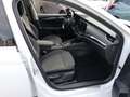 Skoda Octavia Hybrid Style iV ACC NAVI LED SHZ PDC Weiß - thumbnail 12