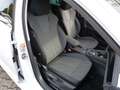 Skoda Octavia Hybrid Style iV ACC NAVI LED SHZ PDC Weiß - thumbnail 13