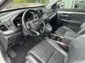 Honda CR-V 2.0 e:HEV Hybrid 4WD Executive * AHK * Facelift * Blanc - thumbnail 9