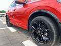 Volkswagen Tiguan III 1.5 eTSI R-Line Leder IQ 360 AHK LM20 Rot - thumbnail 5