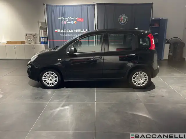 Fiat Panda view 2