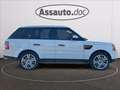 Land Rover Range Rover Sport 3.0 sdV6 HSE 249cv auto 8m Wit - thumbnail 8