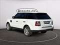 Land Rover Range Rover Sport 3.0 sdV6 HSE 249cv auto 8m Wit - thumbnail 5