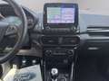 Ford EcoSport 1.0 ecoboost ST-Line 100cv my19 Gris - thumbnail 15