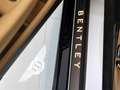 Bentley Continental GT (MY26) Hybrid von BENTLEY FRANKFURT Blau - thumbnail 21