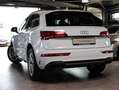 Audi Q5 40 TDI quattro - S LINE / PANORAMA / RAUTE Wit - thumbnail 10