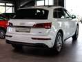 Audi Q5 40 TDI quattro - S LINE / PANORAMA / RAUTE Wit - thumbnail 6