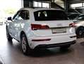 Audi Q5 40 TDI quattro - S LINE / PANORAMA / RAUTE Wit - thumbnail 7
