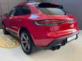 Porsche Macan 2.0   TETTO PANORAMICO IMPIANTO AUDIO BOSE Rosso - thumbnail 5