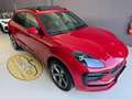 Porsche Macan 2.0   TETTO PANORAMICO IMPIANTO AUDIO BOSE Rosso - thumbnail 6