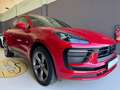 Porsche Macan 2.0   TETTO PANORAMICO IMPIANTO AUDIO BOSE Rosso - thumbnail 3