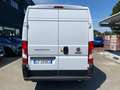 Fiat Ducato L2H2 2.2 140CV FURGONE Bianco - thumbnail 15