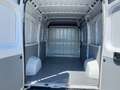 Fiat Ducato L2H2 2.2 140CV FURGONE Bianco - thumbnail 14