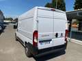 Fiat Ducato L2H2 2.2 140CV FURGONE Bianco - thumbnail 12
