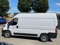 Fiat Ducato L2H2 2.2 140CV FURGONE Bianco - thumbnail 10