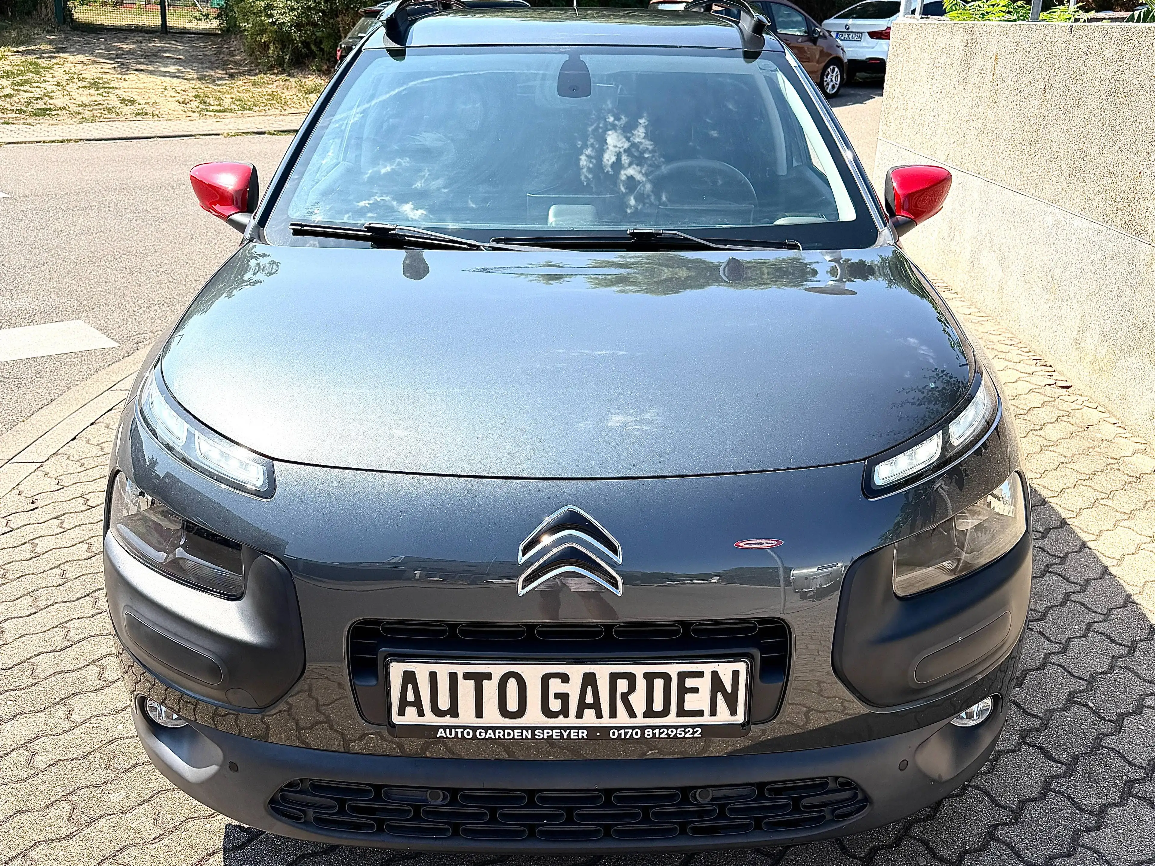 Citroen C4 Cactus Shine — photo 4