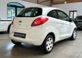 Ford Ka/Ka+ 1.2 Benzin Trend RADIO/KLIMA/AUX/69PS/TÜVNEU Weiß - thumbnail 3