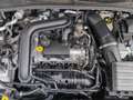 Volkswagen Polo Friends TSI Blanc - thumbnail 14