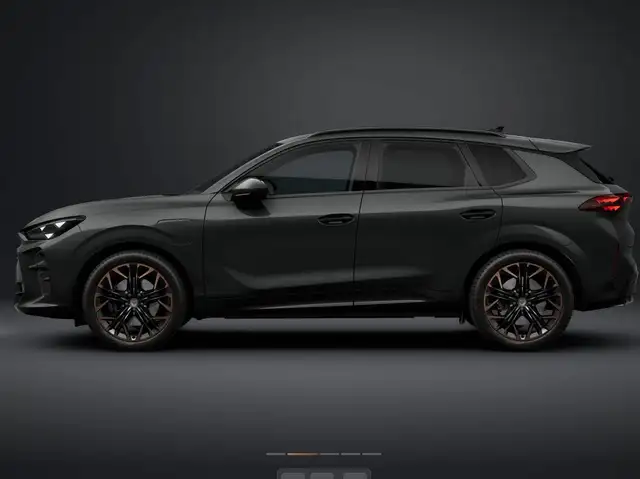 Cupra Terramar view 4