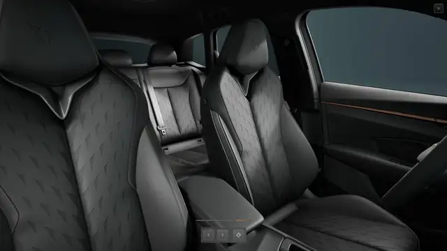 Cupra Terramar view 12