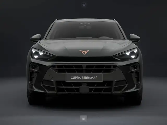 Cupra Terramar view 2