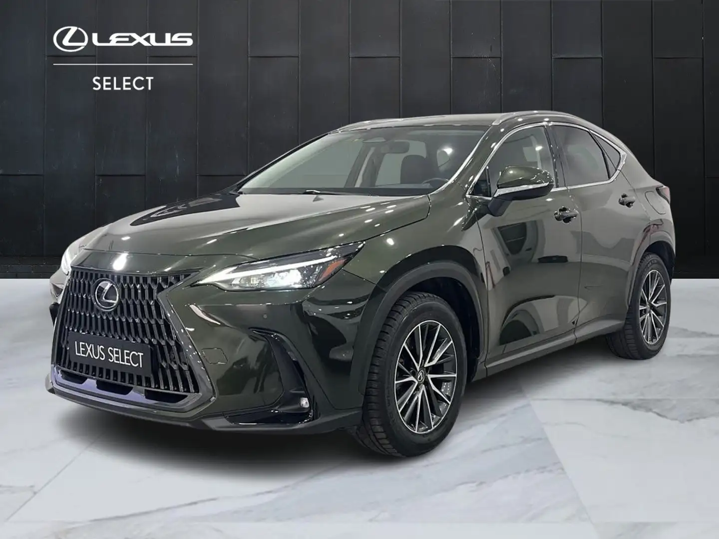 Lexus NX 450h+ NX 450h+ 2.5 phev Premium+ 4wd e-cvt IVA ESPOSTA Vert - 1
