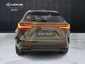 Lexus NX 450h+ NX 450h+ 2.5 phev Premium+ 4wd e-cvt IVA ESPOSTA Vert - thumbnail 12