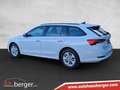 Skoda Octavia Ambition TDI Weiß - thumbnail 4