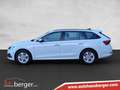 Skoda Octavia Ambition TDI Weiß - thumbnail 7