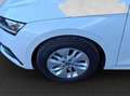 Skoda Octavia Ambition TDI Weiß - thumbnail 8