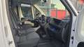 Fiat Ducato Ducato 35 2.3 MJT 130CV PLM-SL Cabinato Maxi Blanco - thumbnail 9
