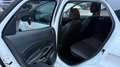 Ford EcoSport ST-Line Keyless AHK Allrad AWD Temp Kam Weiß - thumbnail 11