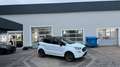 Ford EcoSport ST-Line Keyless AHK Allrad AWD Temp Kam Weiß - thumbnail 1