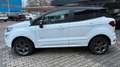Ford EcoSport ST-Line Keyless AHK Allrad AWD Temp Kam Weiß - thumbnail 3