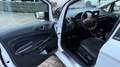 Ford EcoSport ST-Line Keyless AHK Allrad AWD Temp Kam Weiß - thumbnail 12