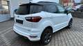Ford EcoSport ST-Line Keyless AHK Allrad AWD Temp Kam Weiß - thumbnail 6