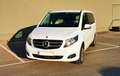 Mercedes-Benz V 200 V 200 d lang Aut. 4MATIC + Panorama Weiß - thumbnail 2