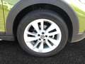 Volkswagen Taigo 1.0TSI DSG Move Matrix Navi Rear View Grün - thumbnail 8