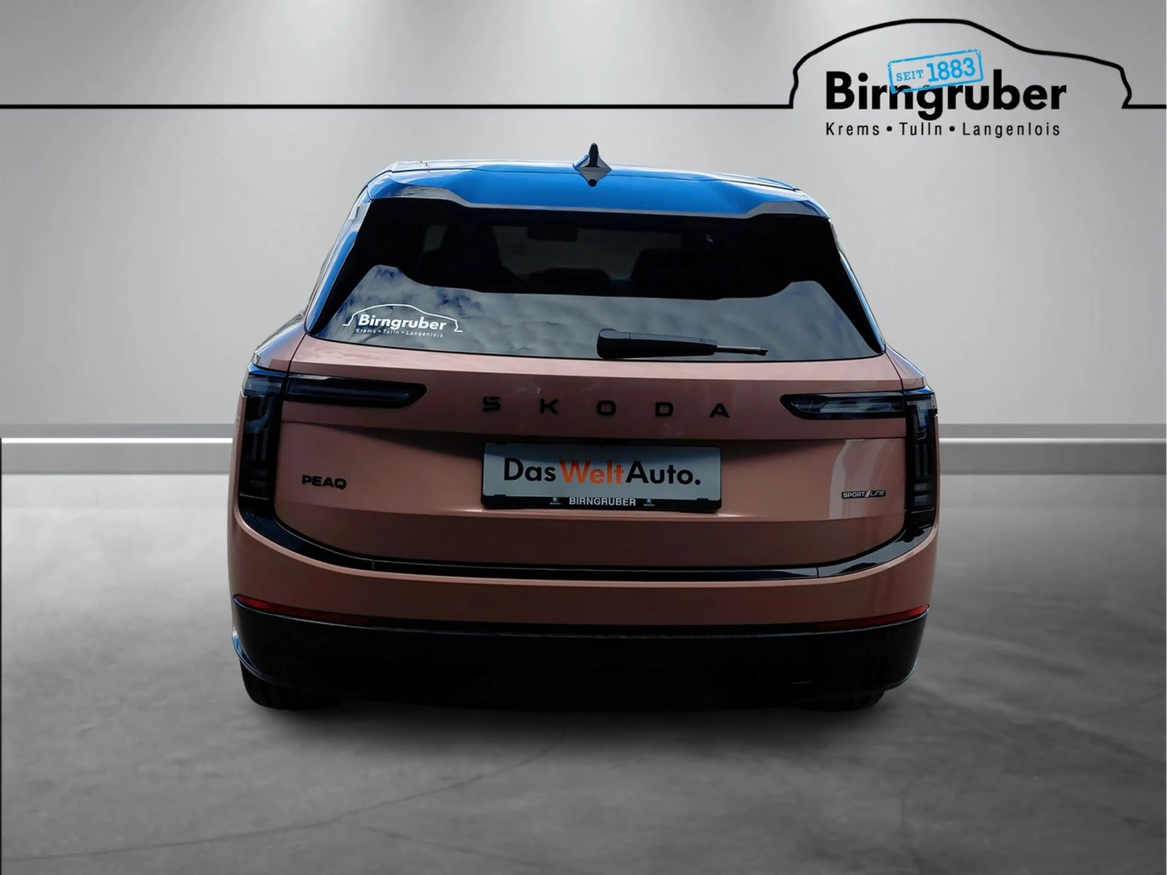 Skoda Peaq Sportline 90x — photo 6
