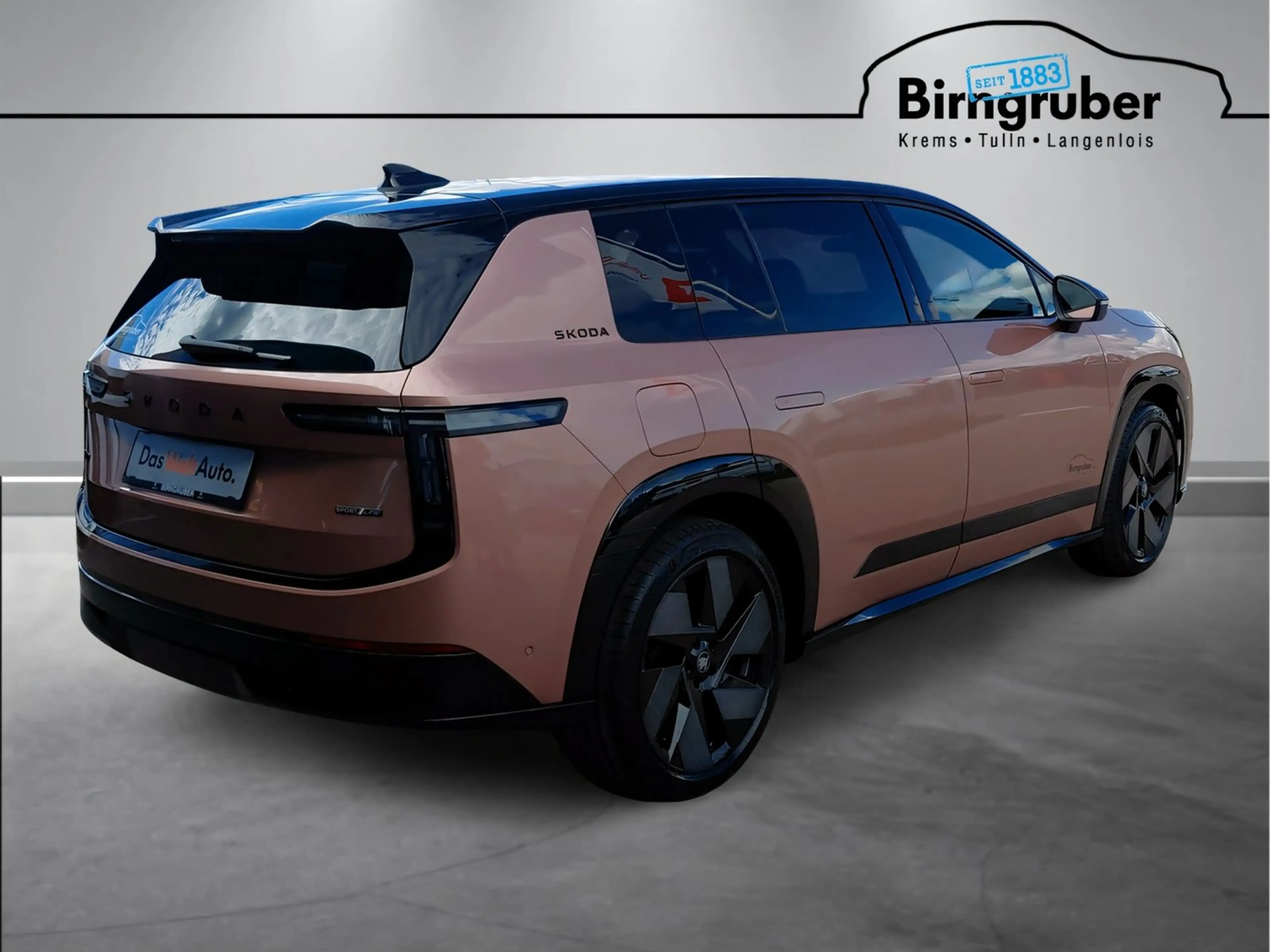 Skoda Peaq Sportline 90x — photo 4